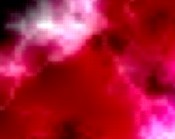 licht u