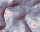oligo leuchten