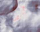 schulte leuchte