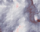 forscher ernhrt sich von licht