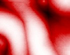 licht bild
