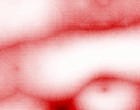 mit uv licht